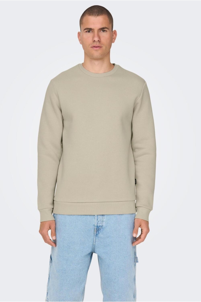 ONSCERES CREW NECK NOOS 22018683 Silver Lining